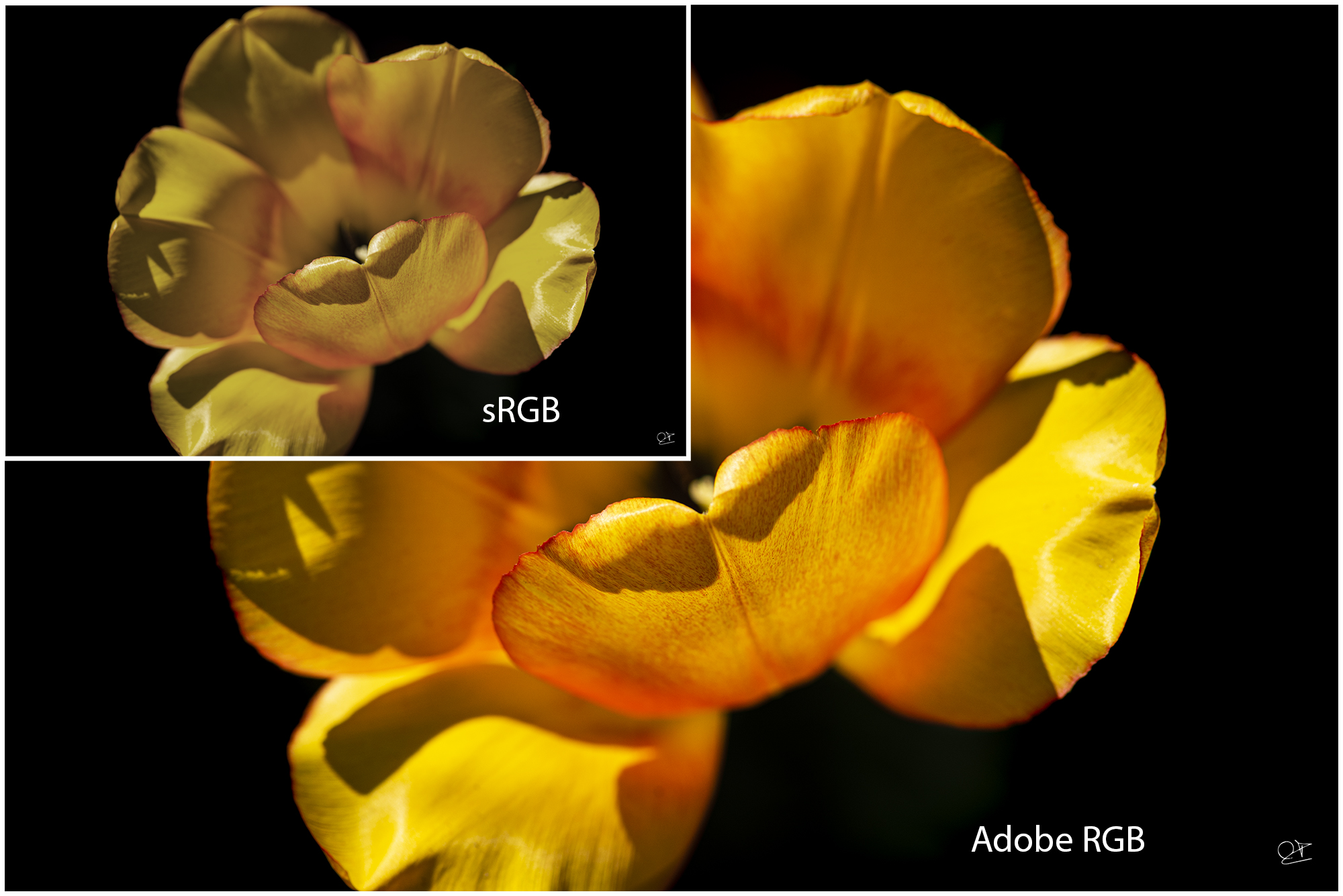 Comparaison Adobe RGB sRGB
